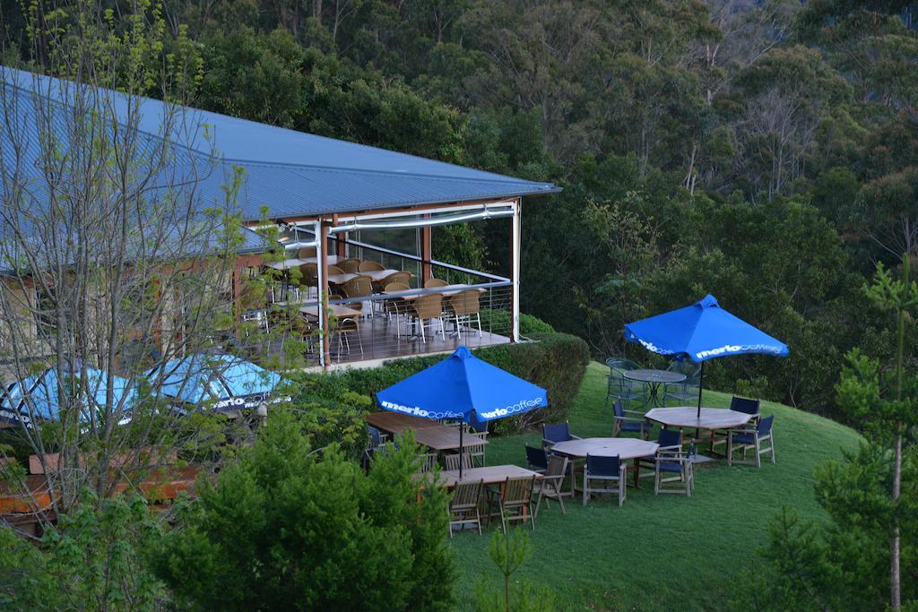 Spring Creek Mountain Cafe & Cottages Killarney Luaran gambar