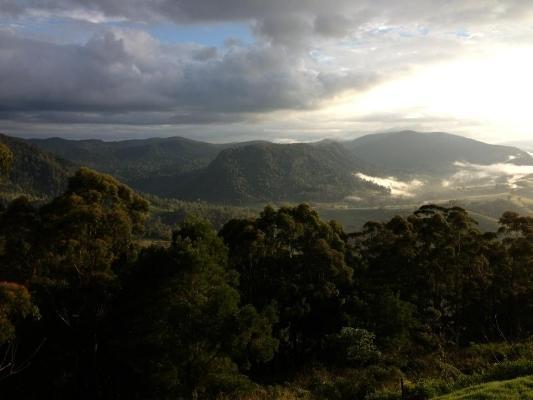 Spring Creek Mountain Cafe & Cottages Killarney Luaran gambar