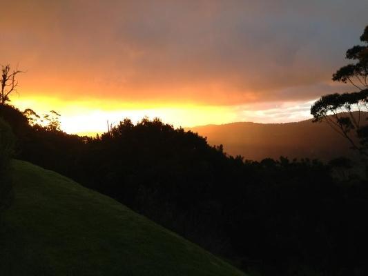 Spring Creek Mountain Cafe & Cottages Killarney Bilik gambar